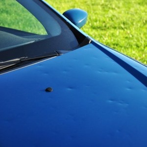 Alexandria Hayes Paintless Dent Removal